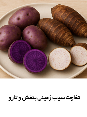 تفاوت سیب زمینی بنفش و تارو چیست ؟