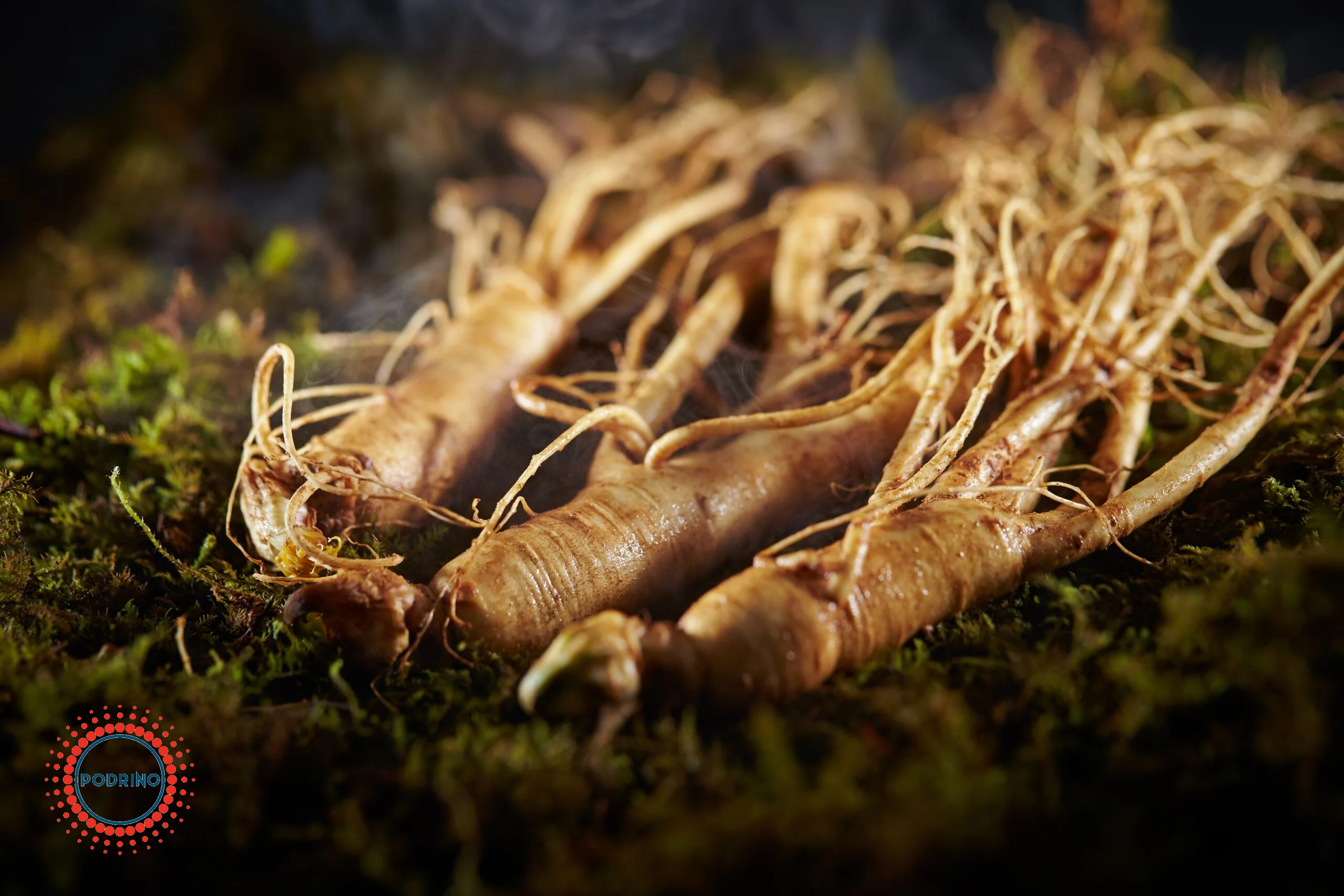 خواص جنسینگ هندی