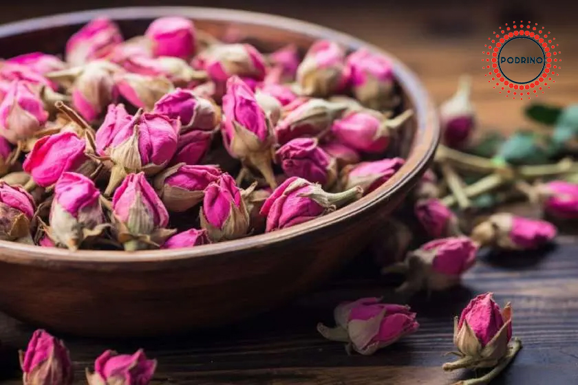 غنچه گل محمدی لاله زار