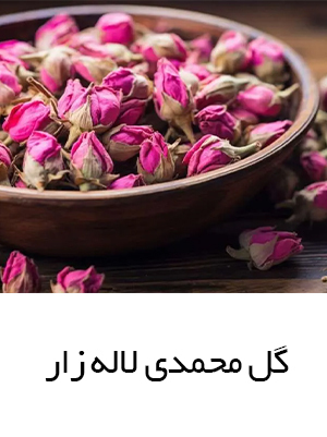 تفاوت غنچه گل محمدی لاله زار با سایر غنچه ها