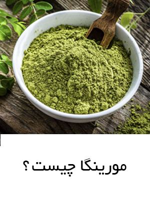 مورینگا چیست و پودر مورینگا را از کجا تهیه کنیم؟